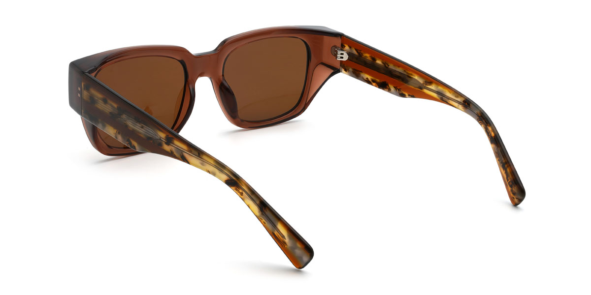 Brown Brown Haroun Glasses - Rectangle Sunglasses