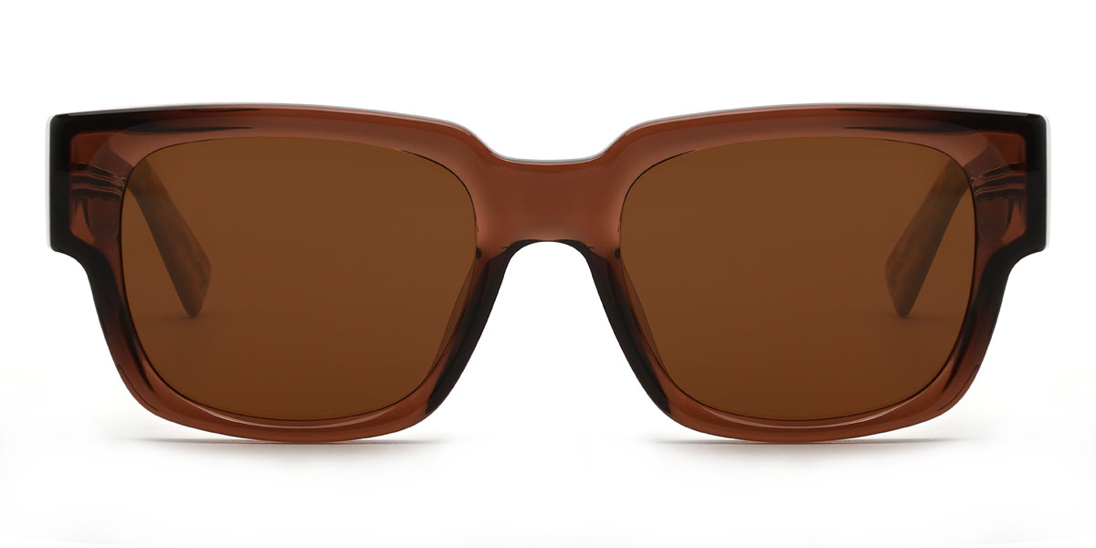 Brown Brown Haroun Glasses - Rectangle Sunglasses