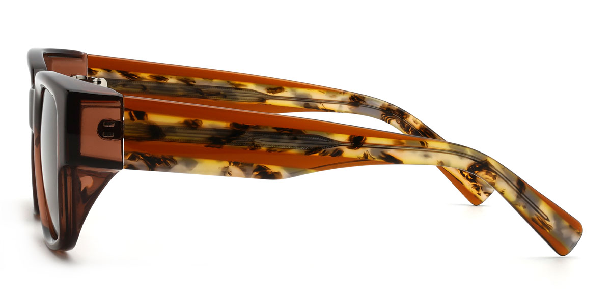 Brown Brown Haroun Glasses - Rectangle Sunglasses
