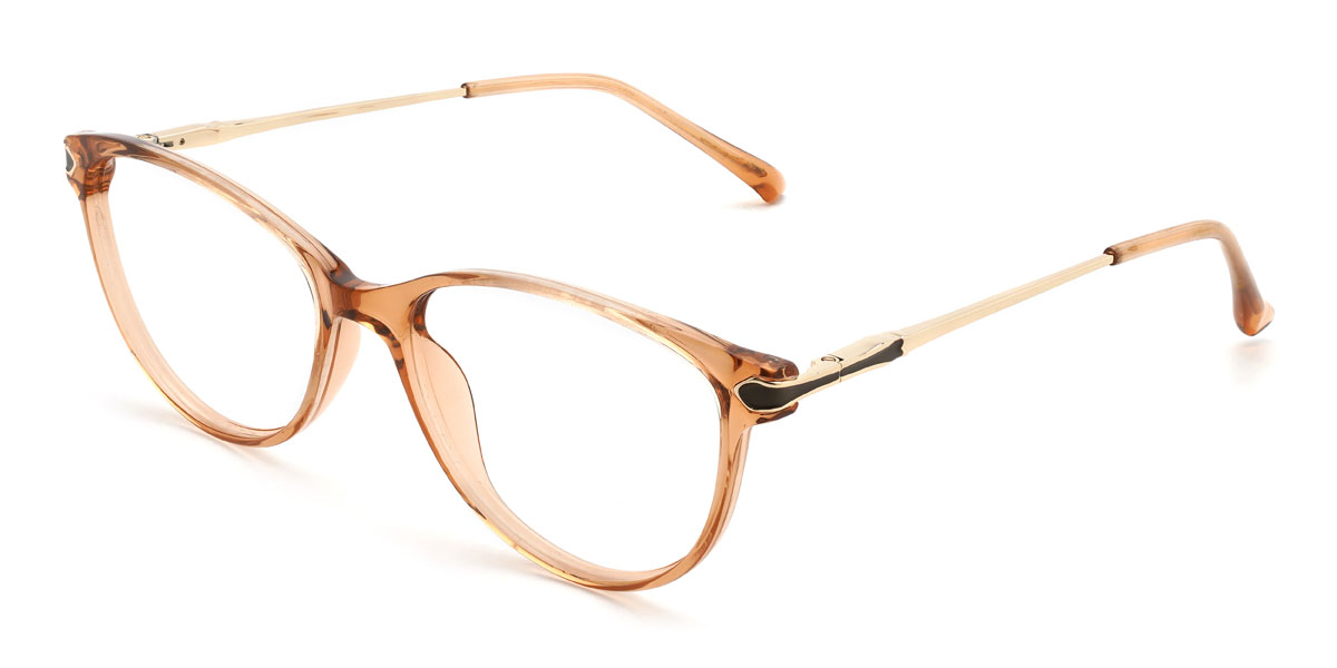 Orange Tanay Glasses - Oval Glasses