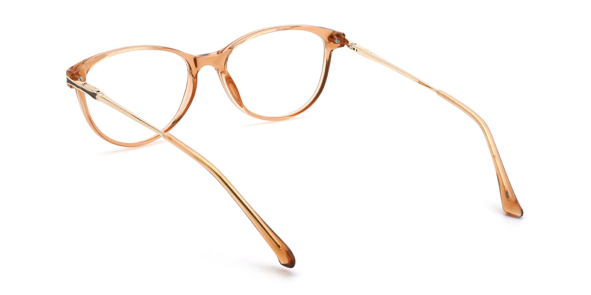 Orange Tanay Glasses - Oval Glasses