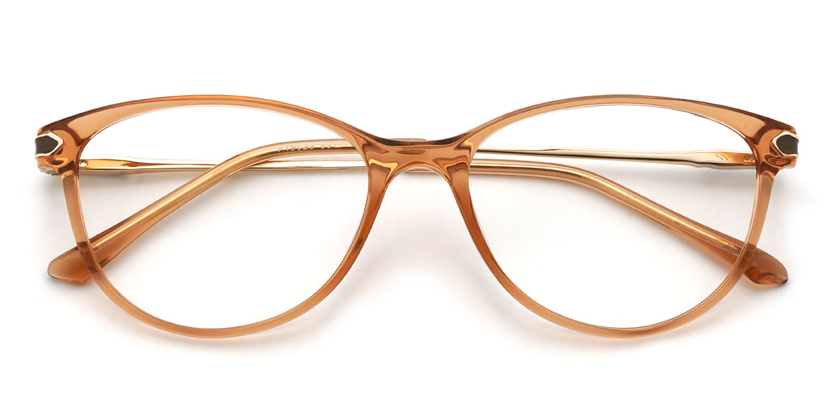 Orange Tanay Glasses - Oval Glasses