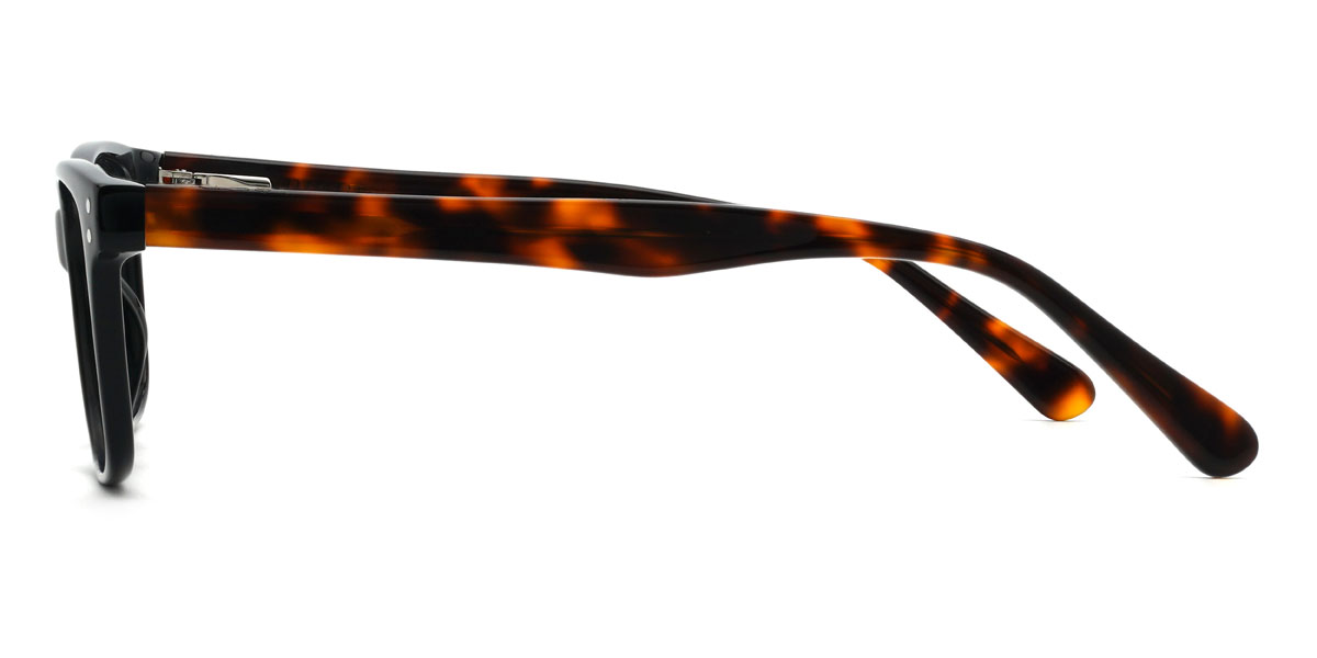 Black Tortoiseshell Leeroy Glasses - Rectangle Glasses