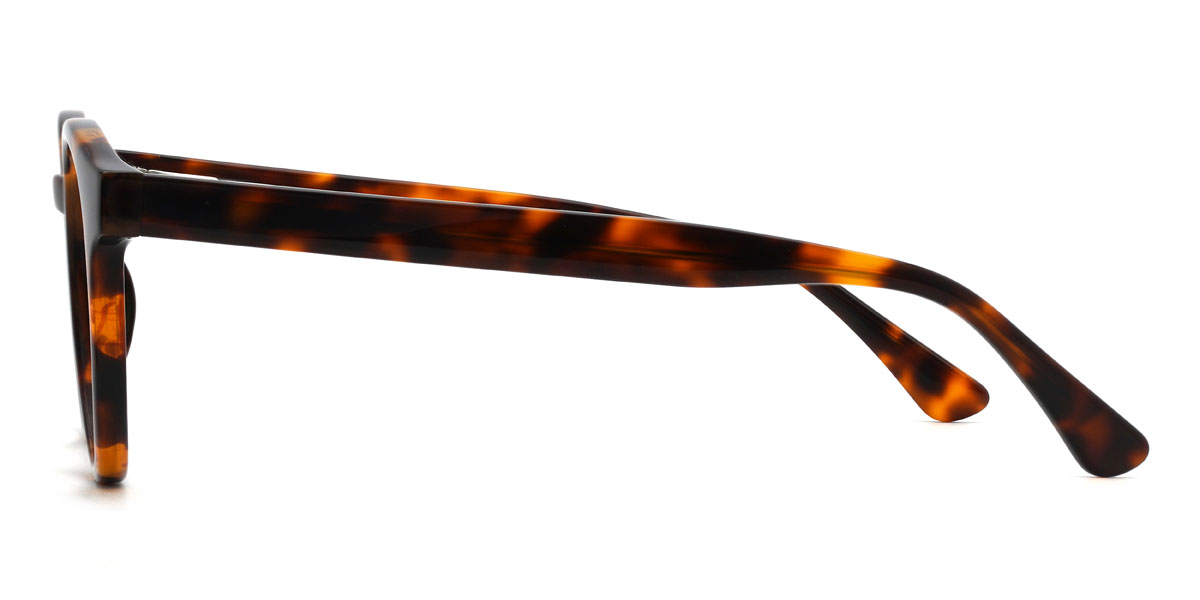 Tortoiseshell Abhay Glasses - Oval Glasses