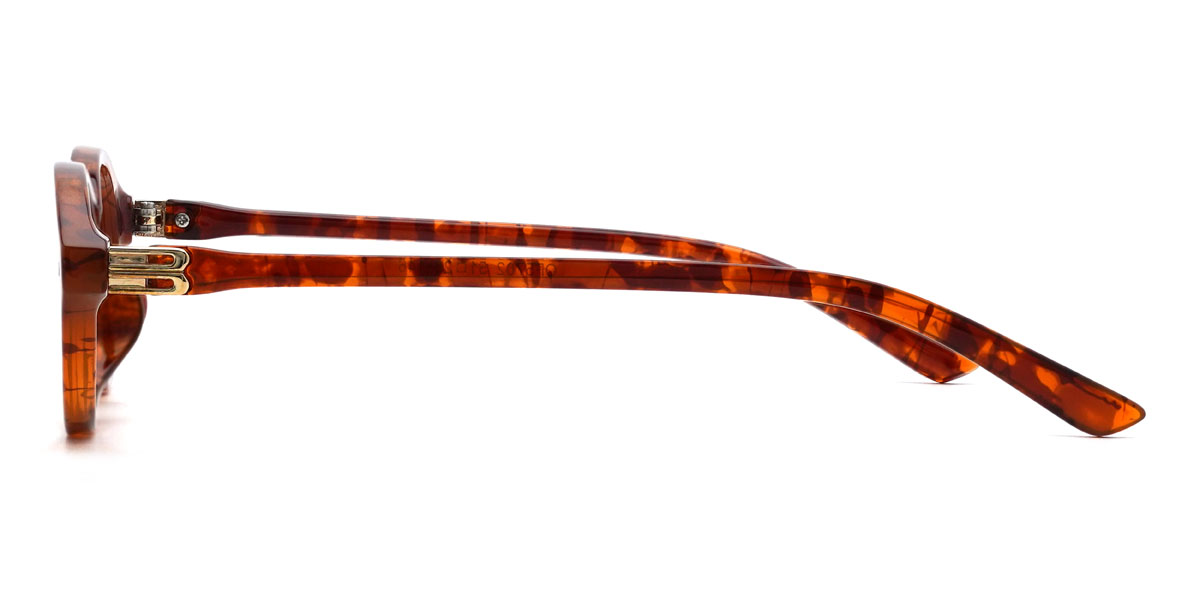 Tortoiseshell Karlo Glasses - Oval Glasses