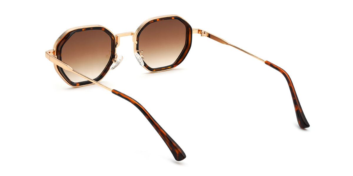 Tortoiseshell Gradual Brown Siddhi Glasses - Oval Sunglasses