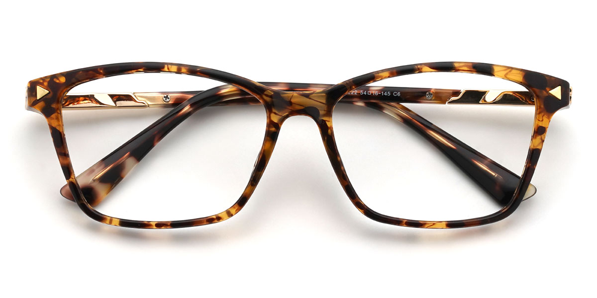 Tortoiseshell Devine Glasses - Rectangle Glasses
