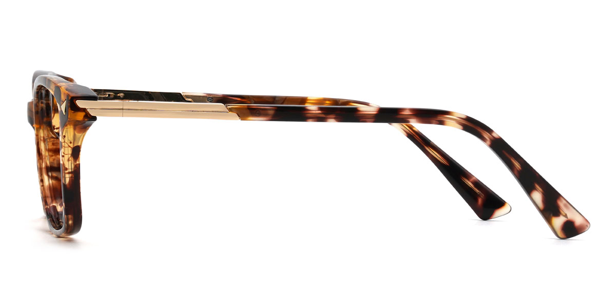 Tortoiseshell Devine Glasses - Rectangle Glasses
