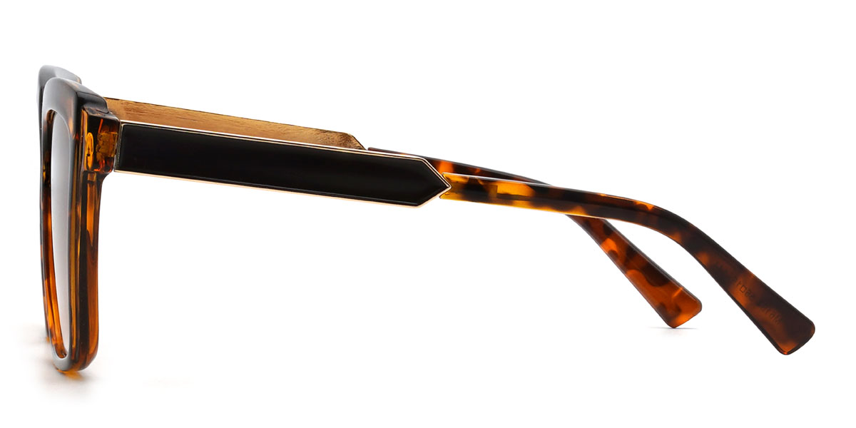 Tortoiseshell Gradual Brown Lorna Glasses - Square Sunglasses