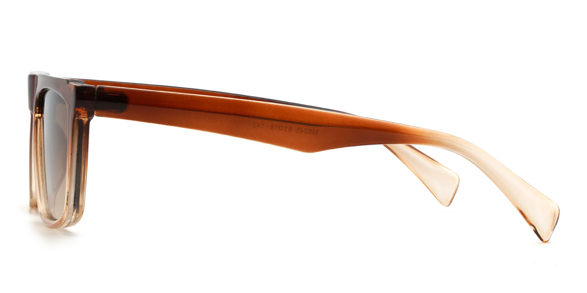 Gradual Brown Gradual Brown Anish Glasses - Rectangle Sunglasses