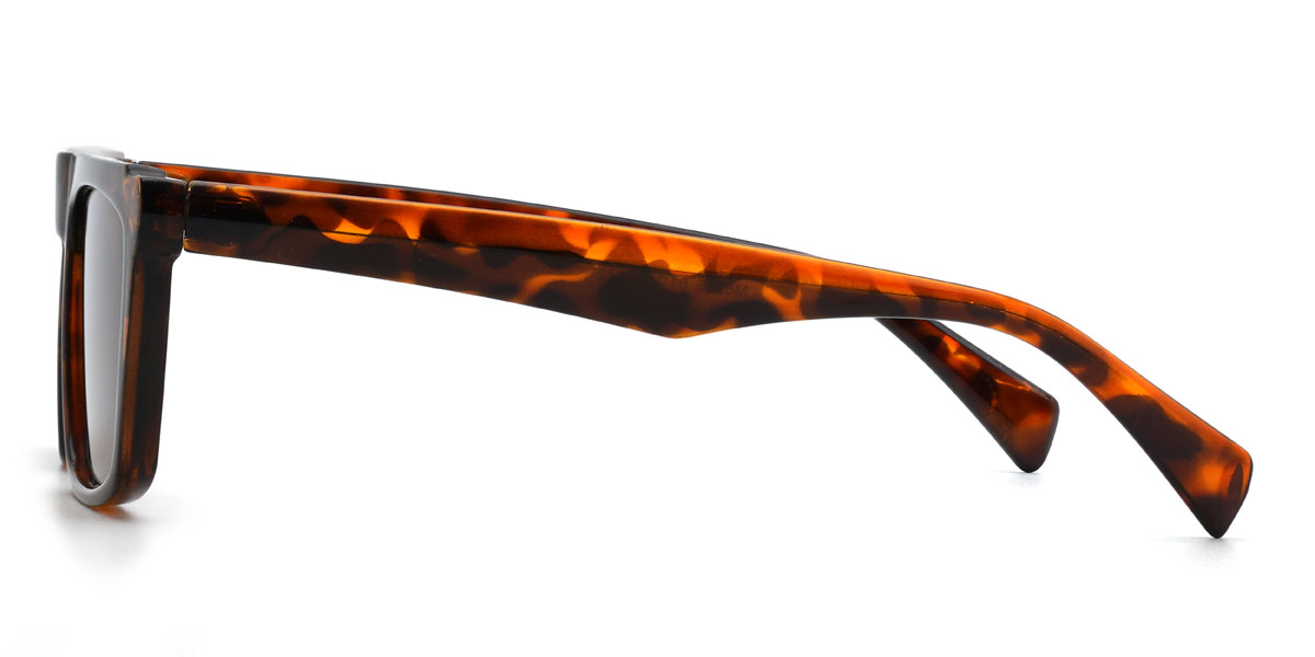 Tortoiseshell Brown Anish Glasses - Rectangle Sunglasses