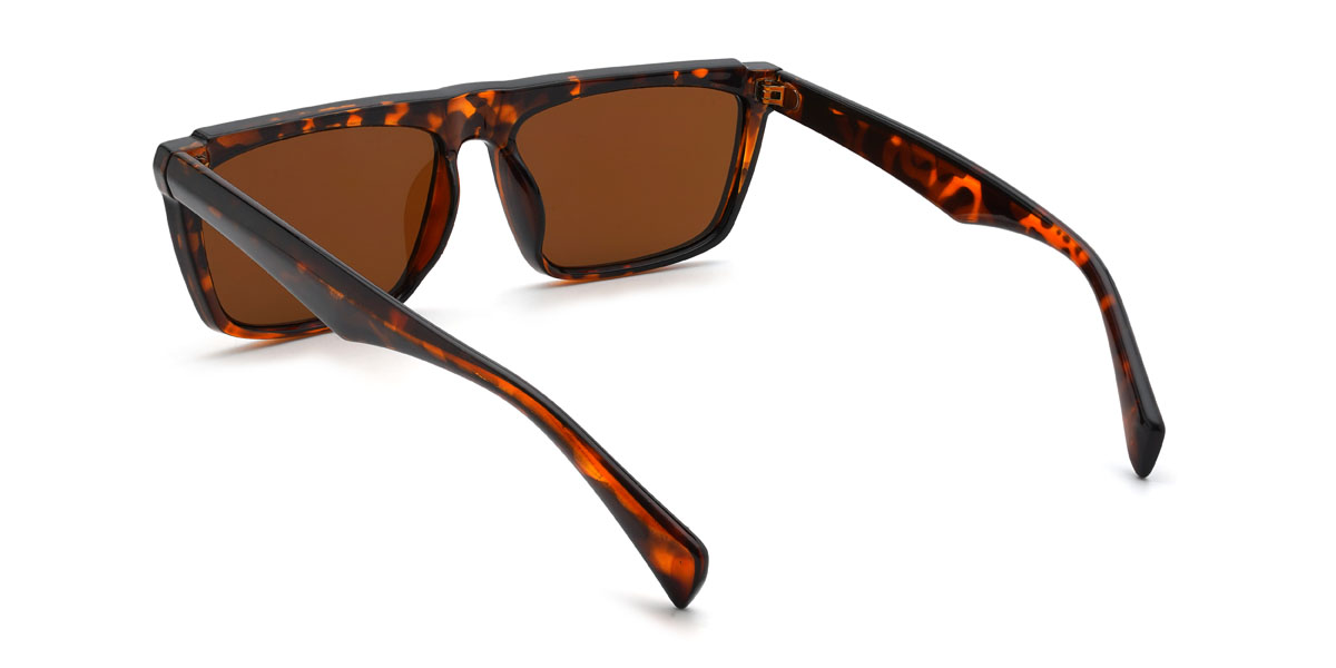 Tortoiseshell Brown Anish Glasses - Rectangle Sunglasses