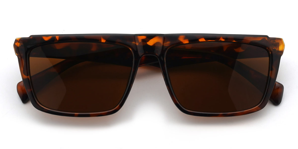 Tortoiseshell Brown Anish Glasses - Rectangle Sunglasses