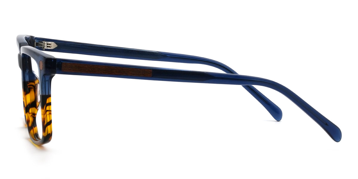 Kék teknősbéka Brantley Szemüveg - Rectangle Glasses