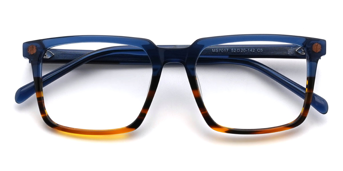 Kék teknősbéka Brantley Szemüveg - Rectangle Glasses