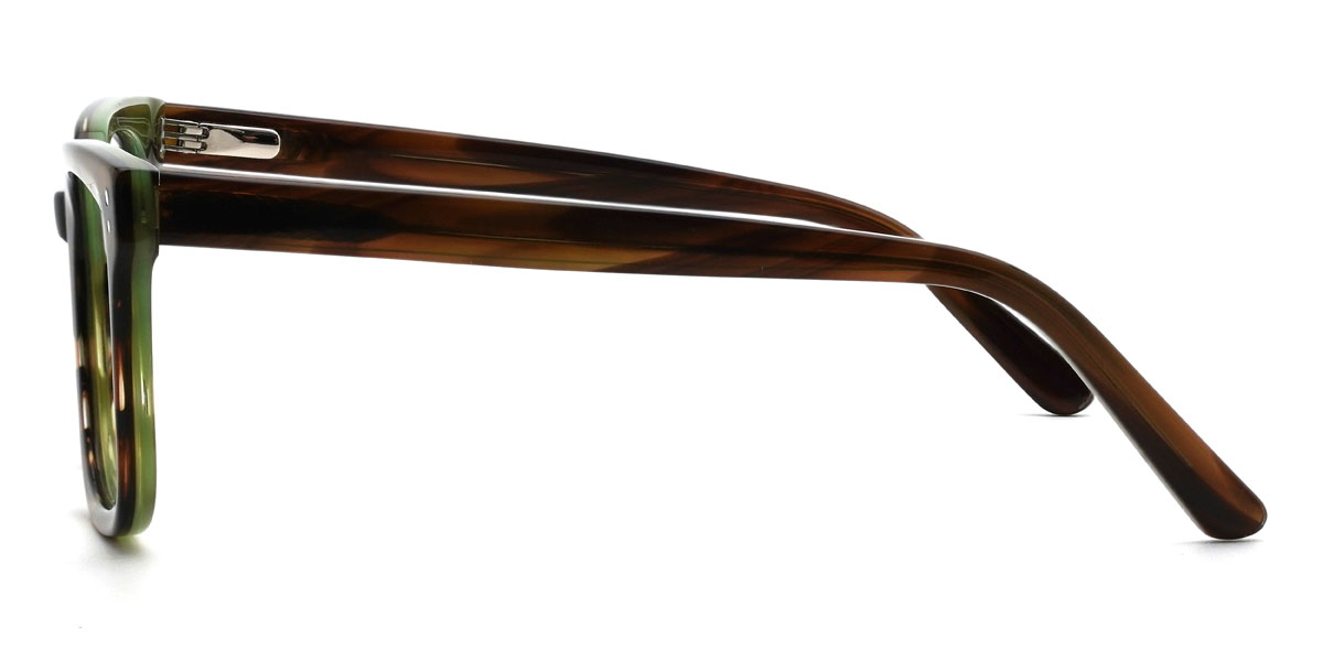 Marron Écaille de tortue Pablo Lunettes - Rectangle Glasses