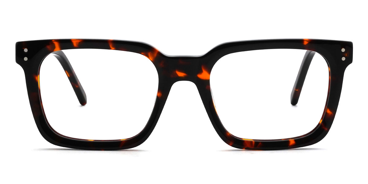 Écaille Alonzo Lunettes - Rectangle Glasses