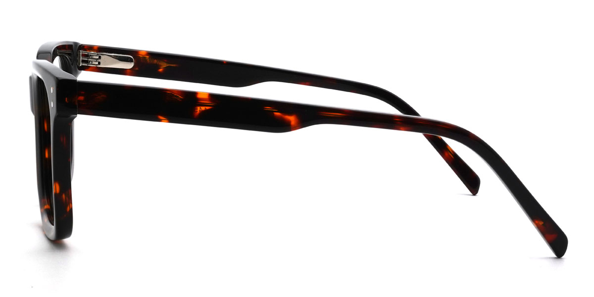 Écaille Alonzo Lunettes - Rectangle Glasses