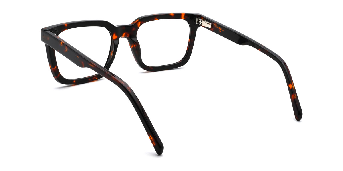 Écaille Alonzo Lunettes - Rectangle Glasses