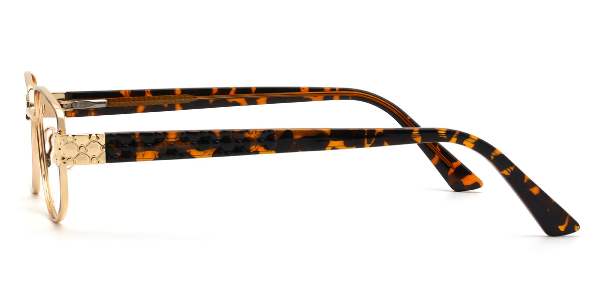 Tortoiseshell Nader Glasses - Rectangle Glasses