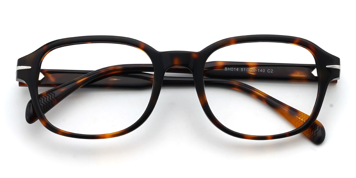 Tortoiseshell Tenzin Glasses - Rectangle Glasses