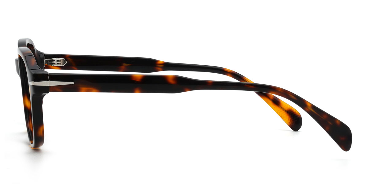 Tortoiseshell Tenzin Glasses - Rectangle Glasses