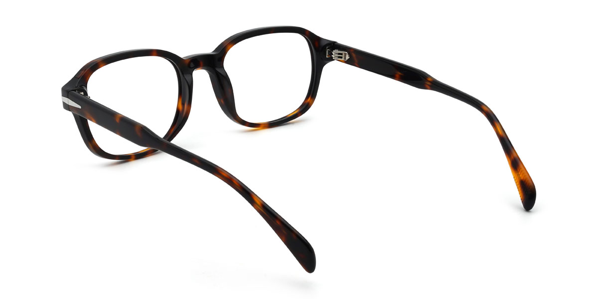 Tortoiseshell Tenzin Glasses - Rectangle Glasses