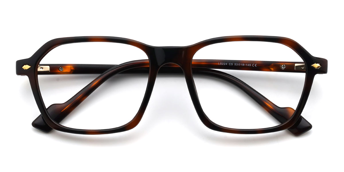 Tortoiseshell Timber Glasses - Rectangle Glasses