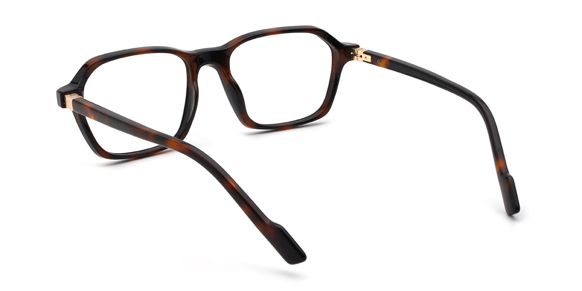 Tortoiseshell Timber Glasses - Rectangle Glasses