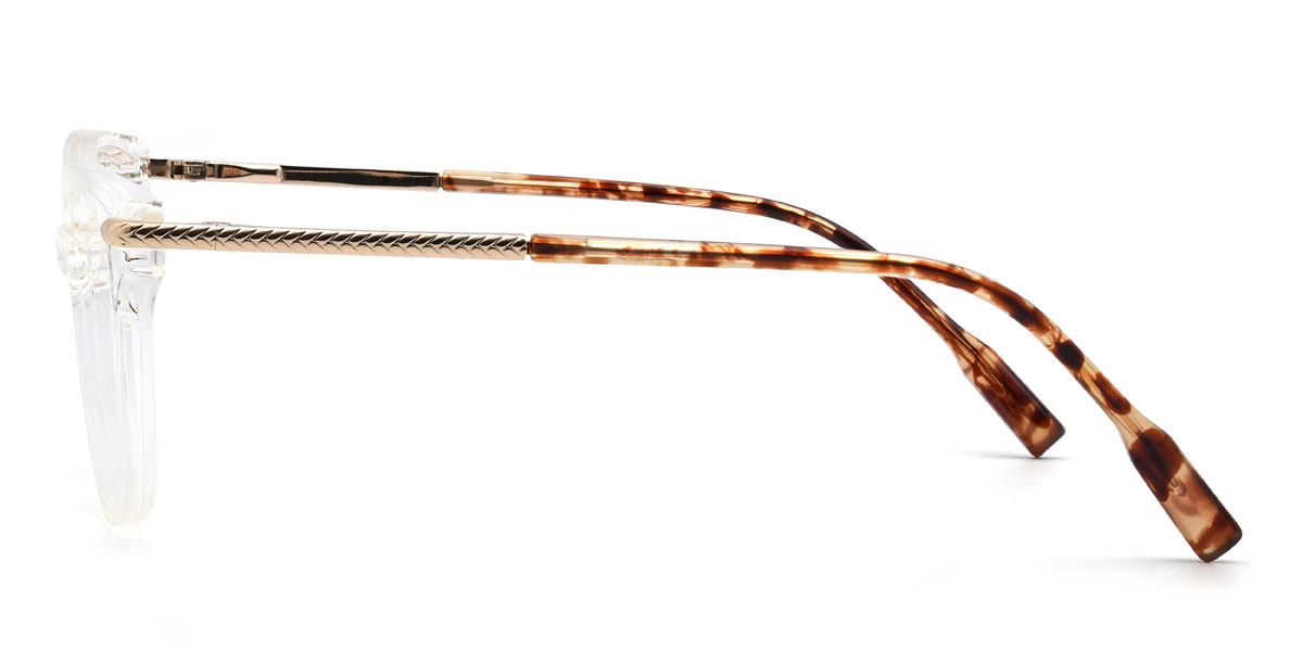 Clear Sully Glasses - Cat Eye Glasses