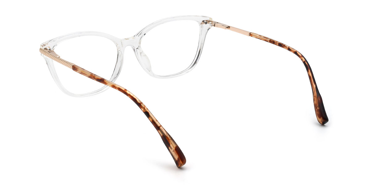 Clear Sully Glasses - Cat Eye Glasses
