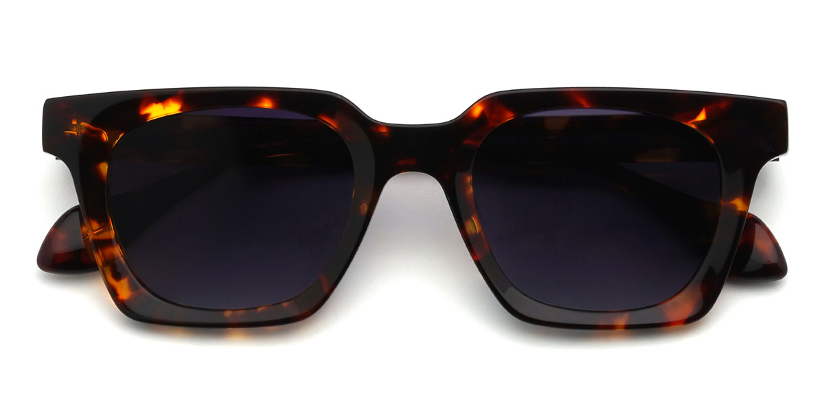 Teknőcpáncél Fokozatosan lila Hamed Szemüveg - Rectangle Sunglasses