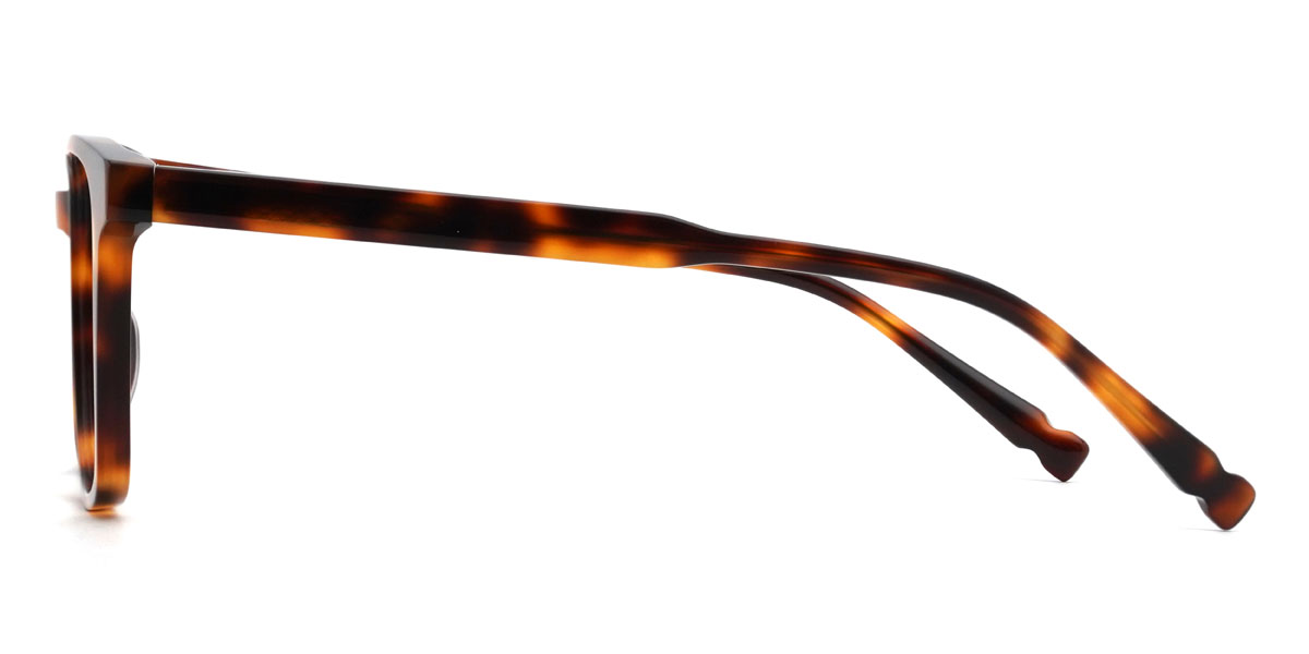 Écaille Jorah Lunettes - Rectangle Glasses