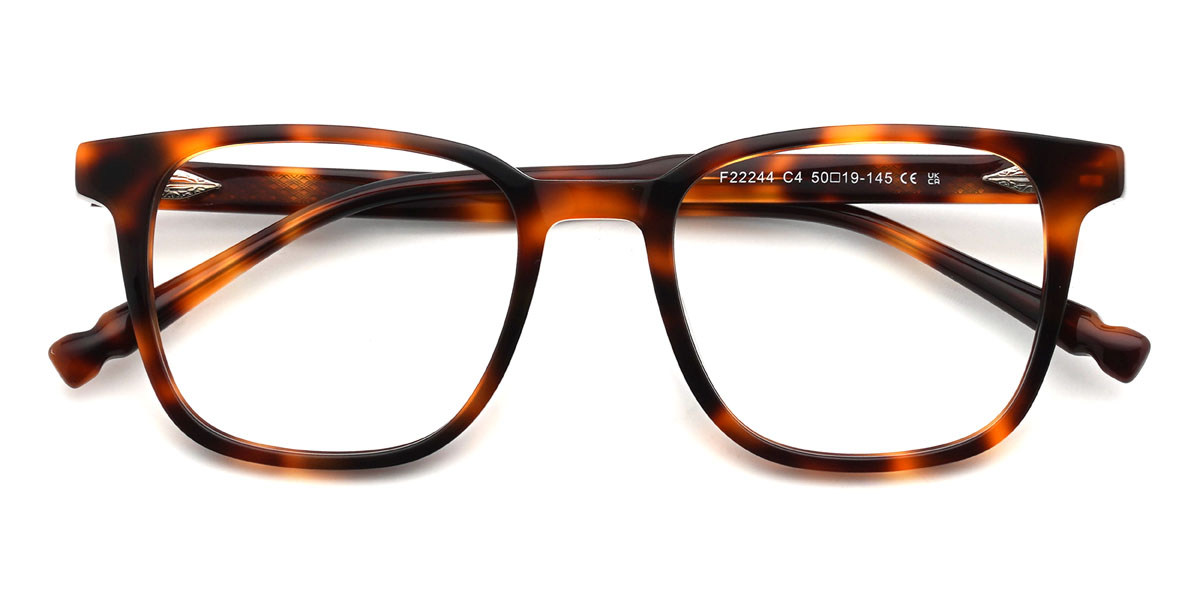 Écaille Jorah Lunettes - Rectangle Glasses