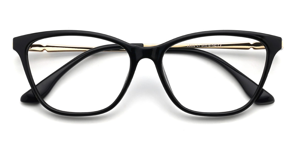 Noir Clarabelle Lunettes - Cat Eye Glasses