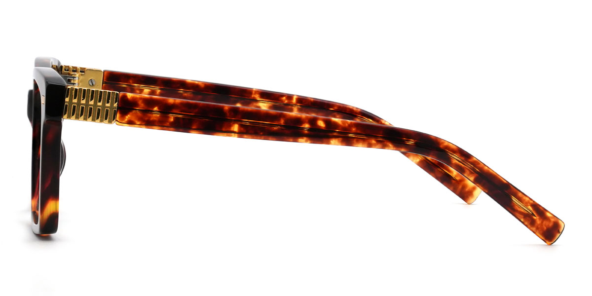Tortoiseshell Jairus Glasses - Rectangle Glasses