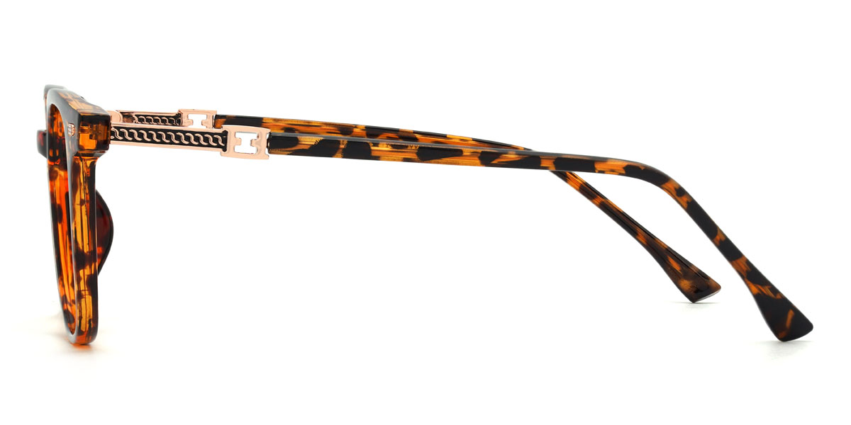 Écaille Eliezer Lunettes - Square Glasses