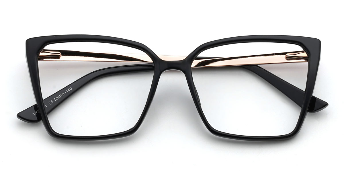 Noir Damani Lunettes - Square Glasses