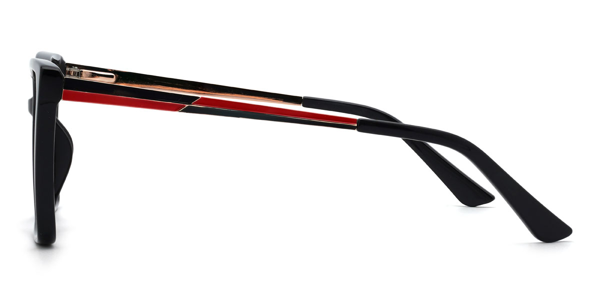 Noir Damani Lunettes - Square Glasses