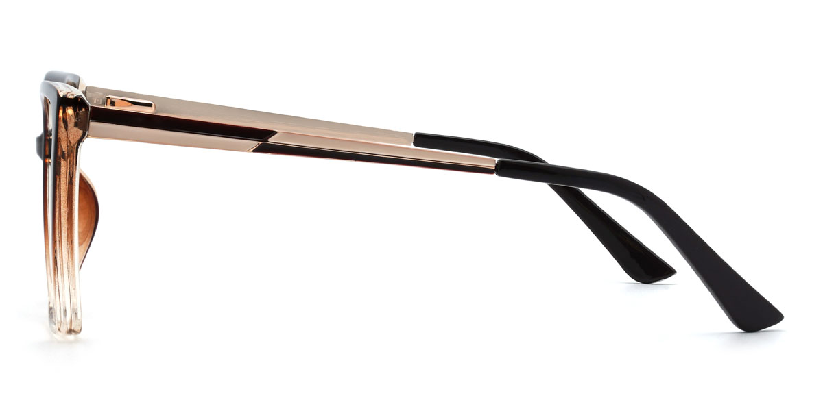 Dégradé Brun Damani Lunettes - Square Glasses