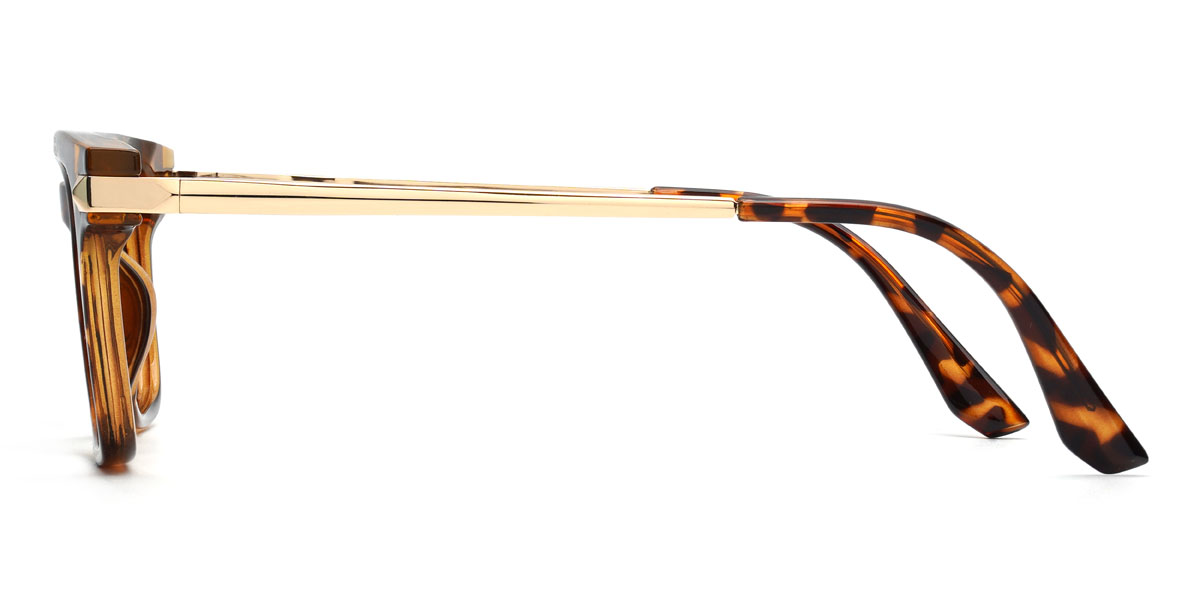 Tortoiseshell Ernest Glasses - Rectangle Glasses
