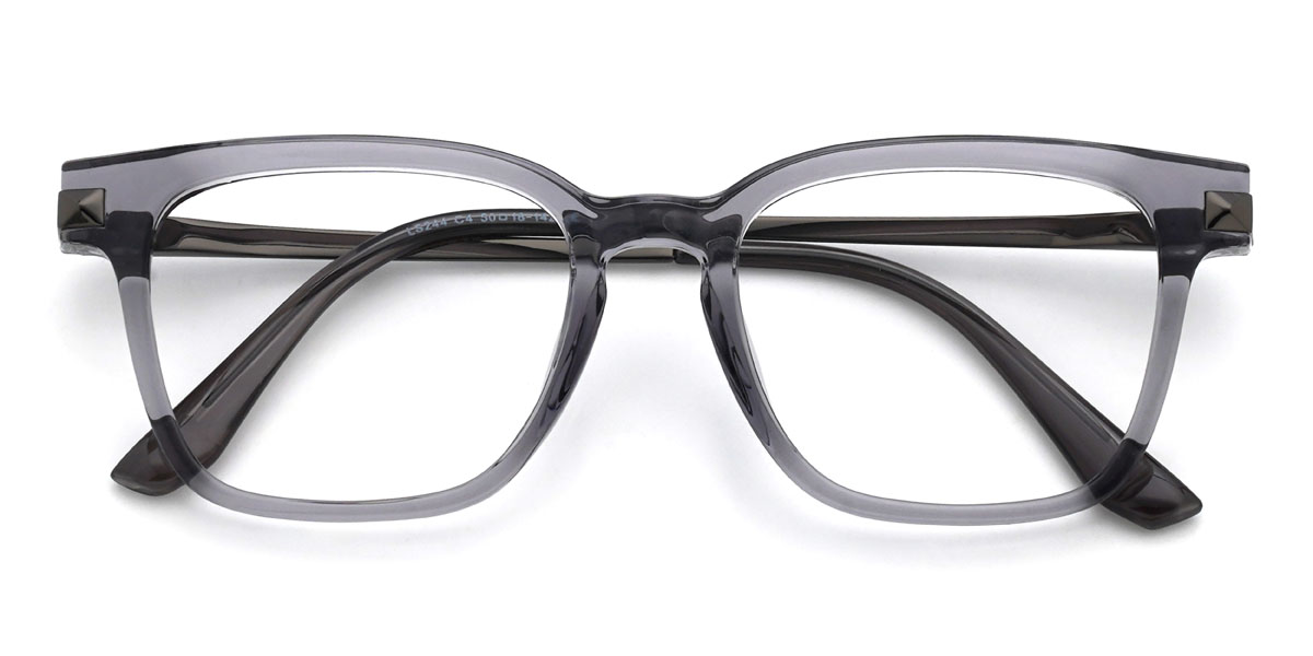 Gris Ernest Lunettes - Rectangle Glasses