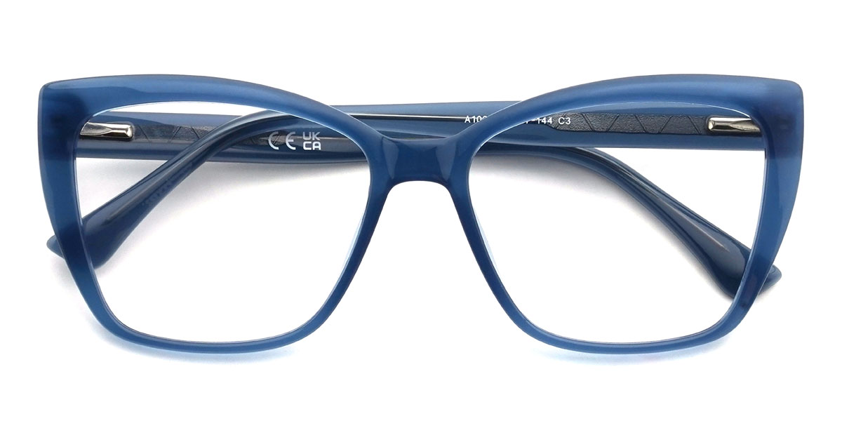 Bleu Hafsah Lunettes - Rectangle Glasses