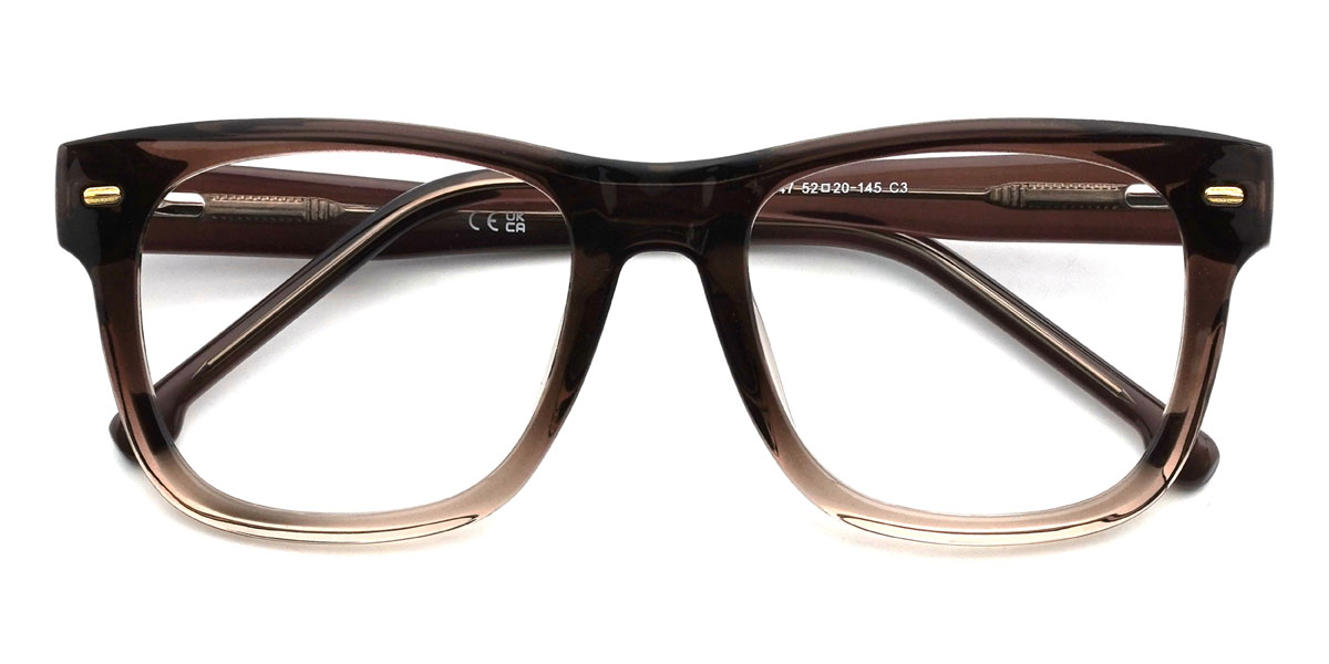 Dégradé Brun Leonie Lunettes - Rectangle Glasses