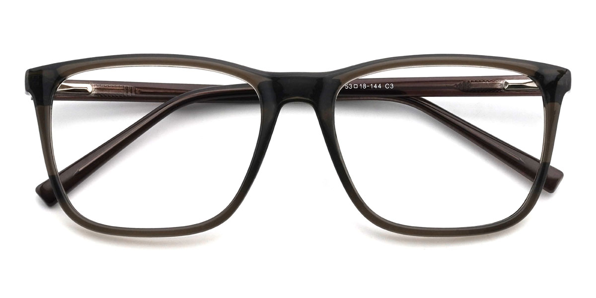 Gris Brandi Lunettes - Rectangle Glasses