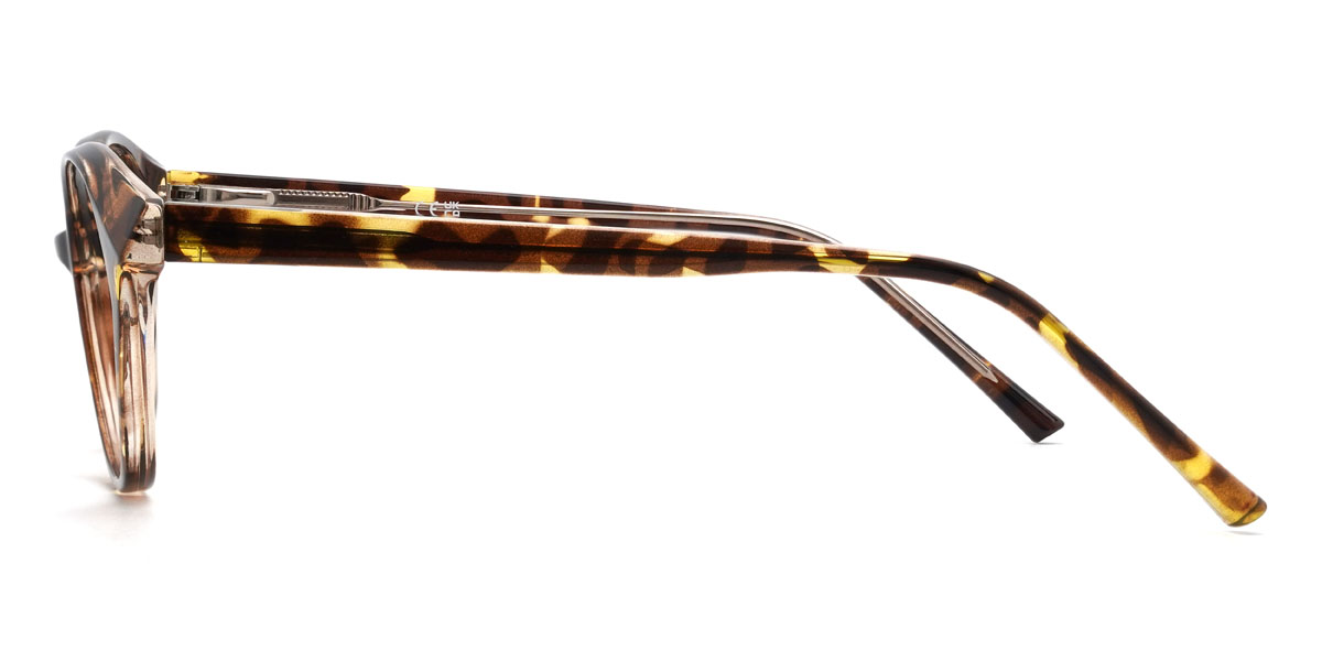 Écaille Calliope Lunettes - Cat Eye Glasses