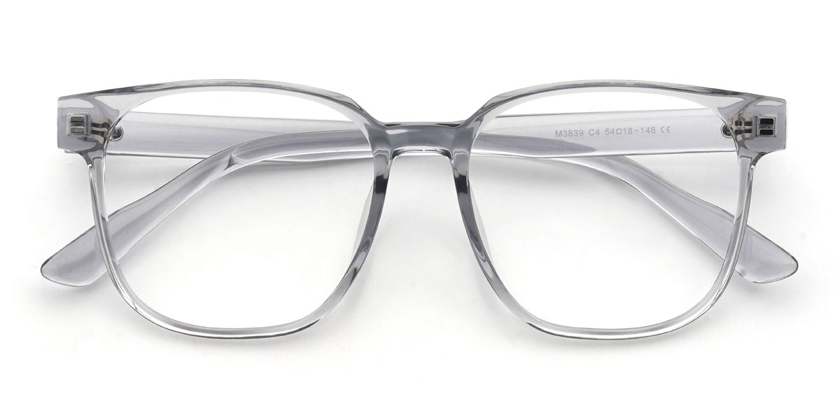Clair Gris Hendrik Lunettes - Square Glasses