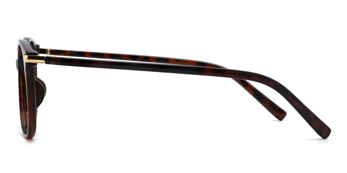 Tortoiseshell Demir Glasses - Oval Glasses