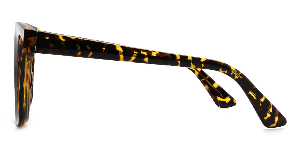 Tortoiseshell Paizley Glasses - Oval Glasses