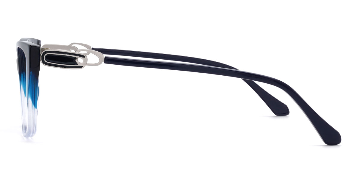 Noir Bleu Sadiq Lunettes - Rectangle Glasses